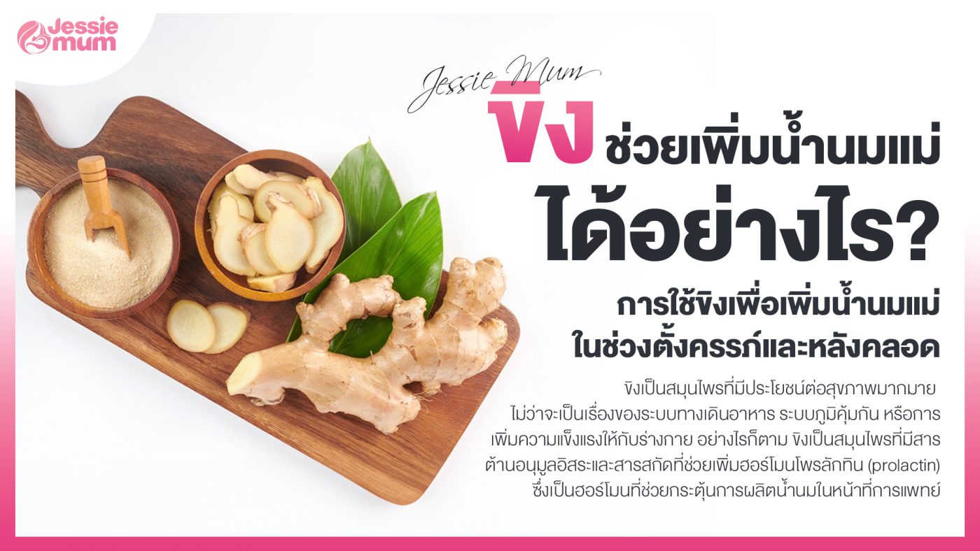 ขิงช่วยเพิ่มน้ำนมแม่ได้อย่างไร
