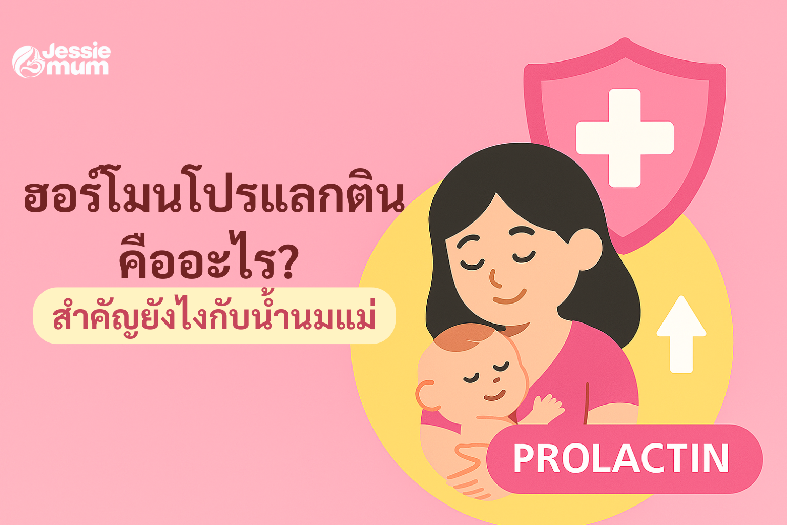 ฮอร์โมนโปรแลกตินคืออะไร? สำคัญยังไงกับน้ำนมแม่