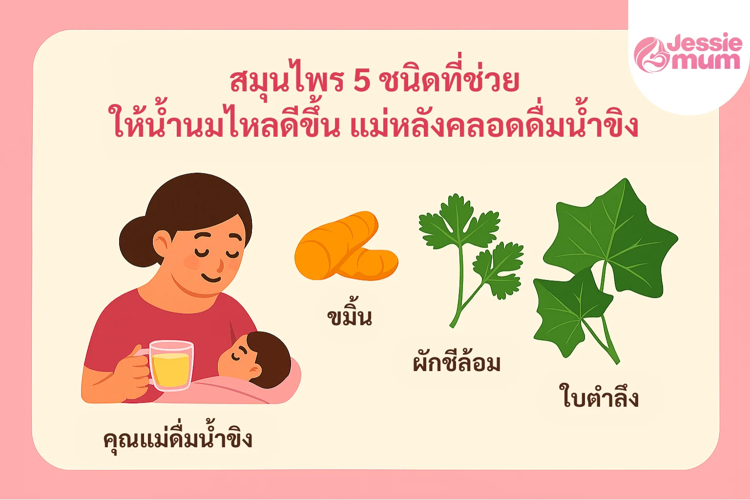 สมุนไพร 5 ชนิดที่ช่วย ให้น้ำนมไหลดีขึ้น แม่หลังคลอดดื่มน้ำขิง