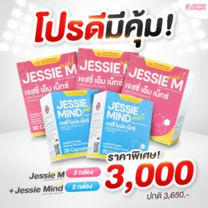 โปรเอ็ม3+ไมน์ด2